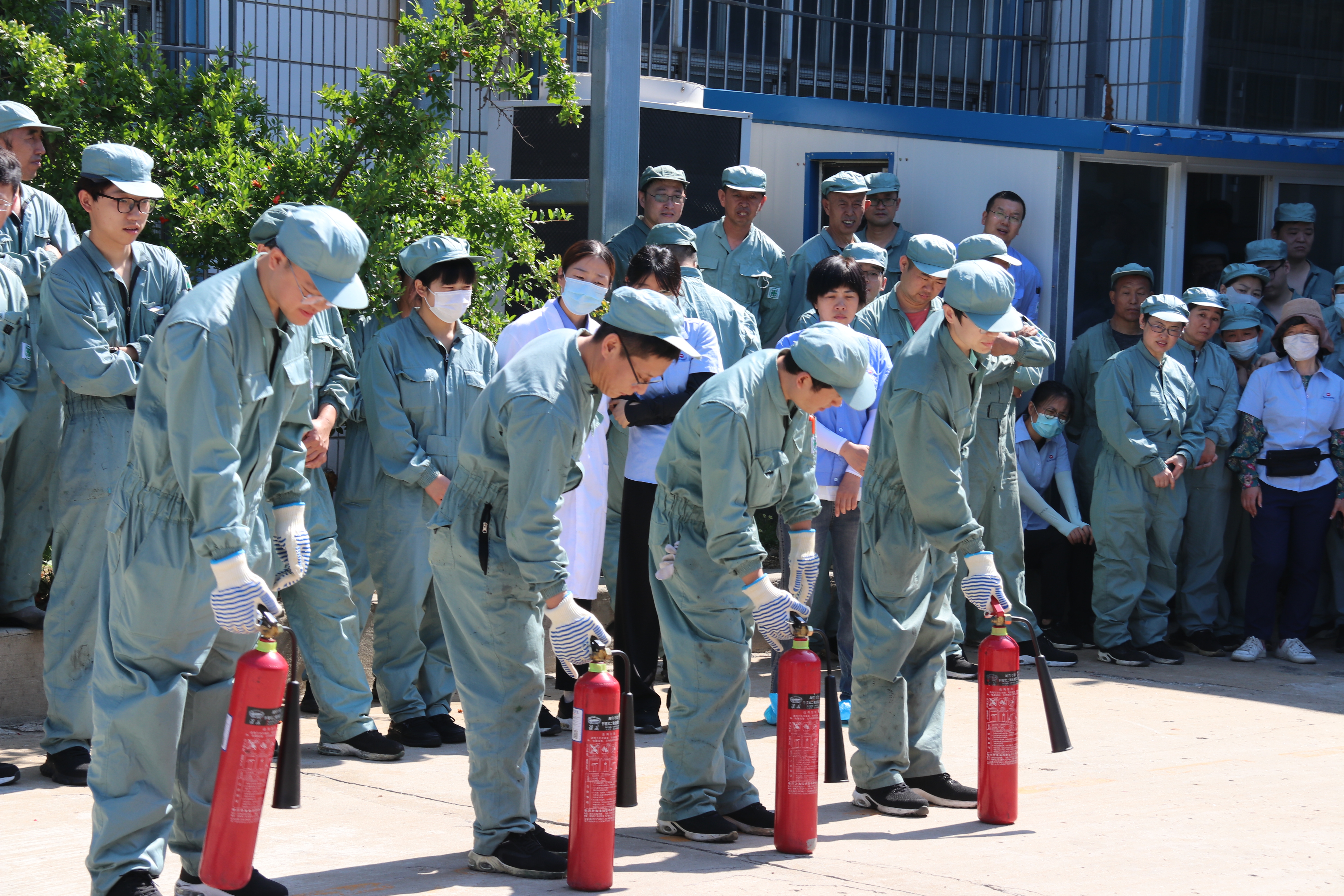 IMG_0461.JPG IMG_0461.JPG